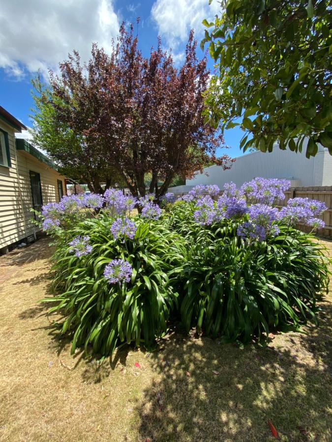 Delightful And Charming Rose Cottage Kilmore Exterior foto